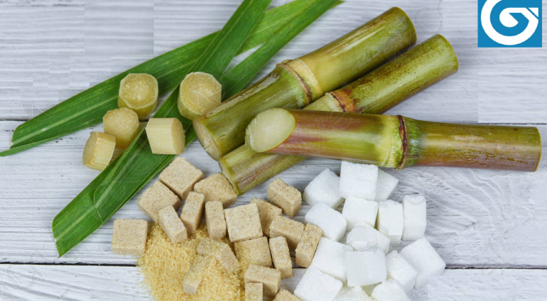 Sugar Cane Laboratory Lab system